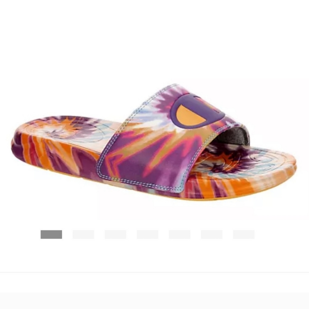 Champions slides